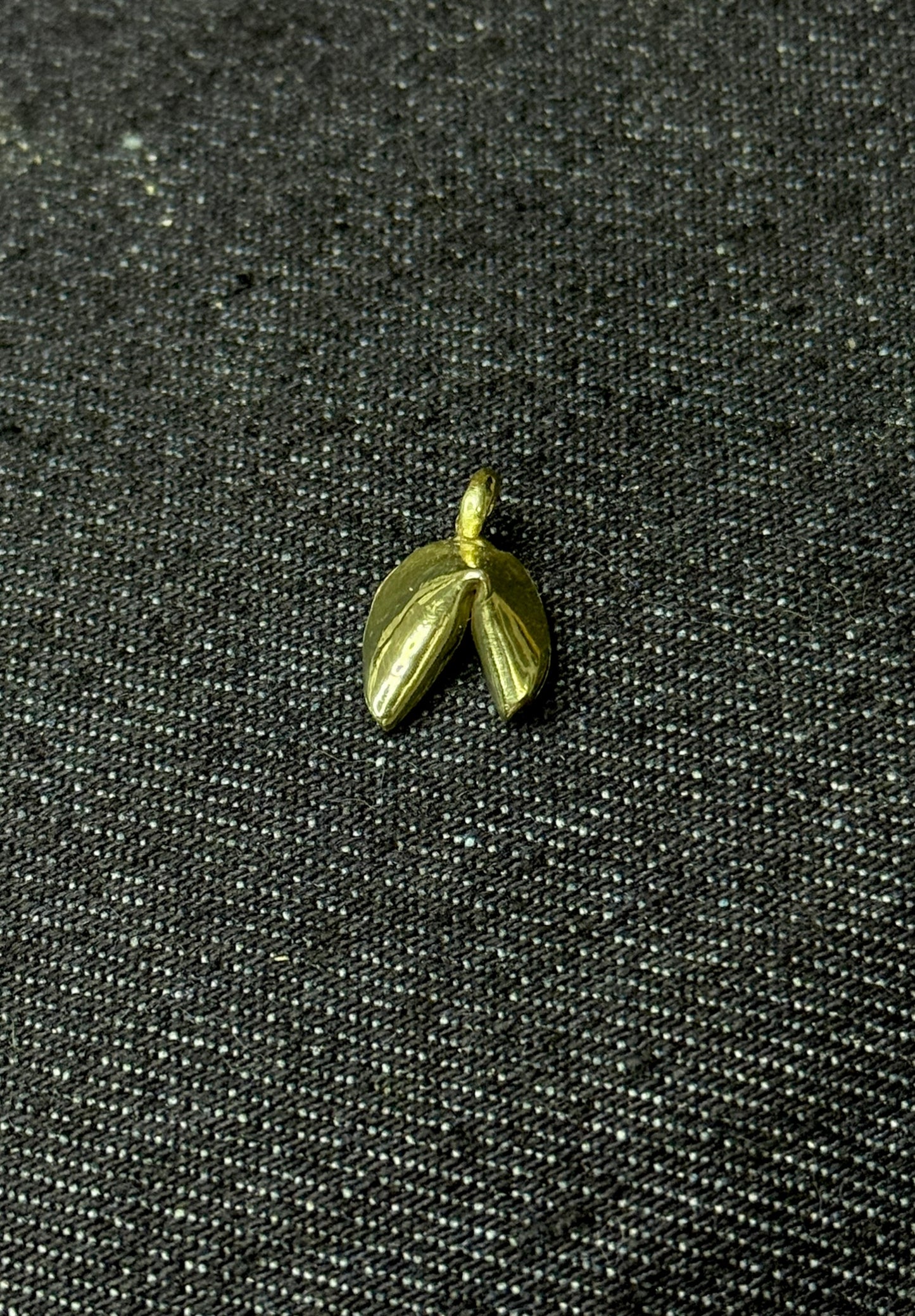 Domínate charm